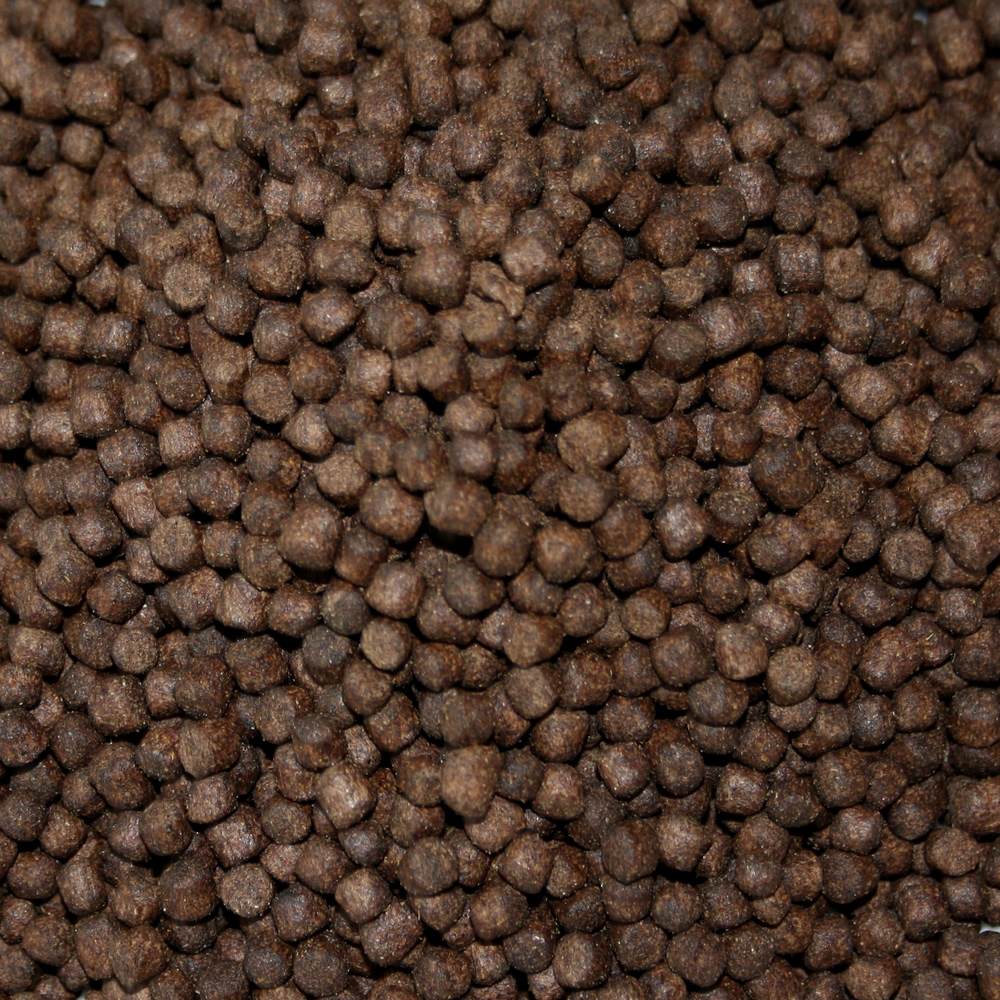 All Season Professional Koi Wachstumsfutter, energiereiches Ganzjahresfutter  6mm 10kg