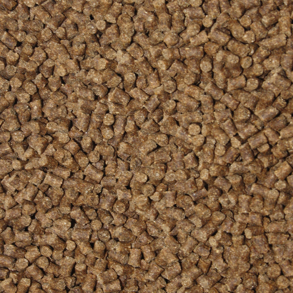 Winterfutter Koi  Gesundheitsfutter Sinkfutter Immunschutz Tomodachi Deep Winter Vital 5mm 5kg Eimer