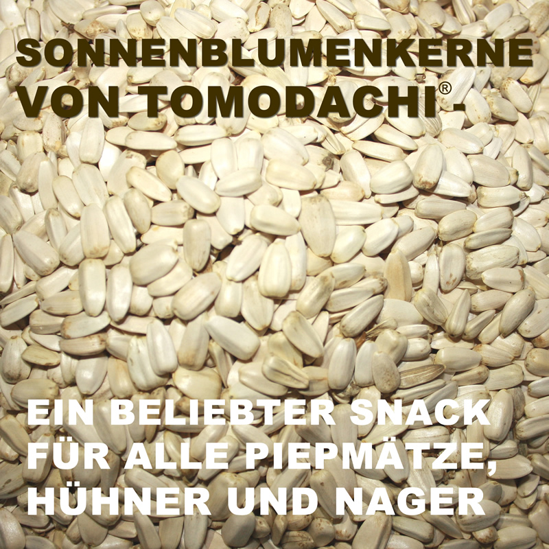Sittichfutter, Papageienfutter, Hühnerfutter, Delikatesse, weiße Sonnenblumenkerne, Vogelsnack 1kg