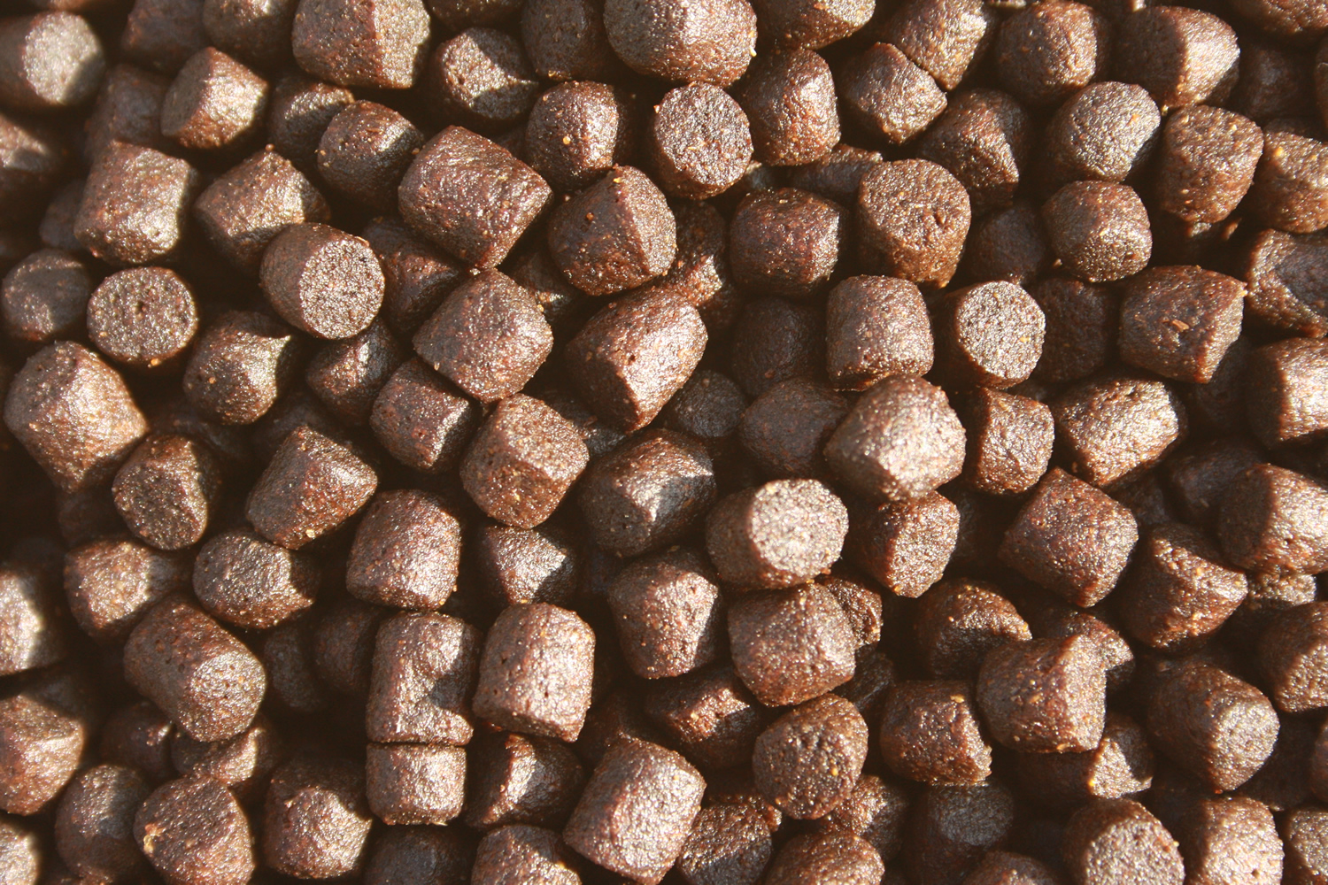 Koi Winterfutter Gesundheitsfutter Immunschutz mit Astax Winterfood Professional VITAL 5mm 5kg