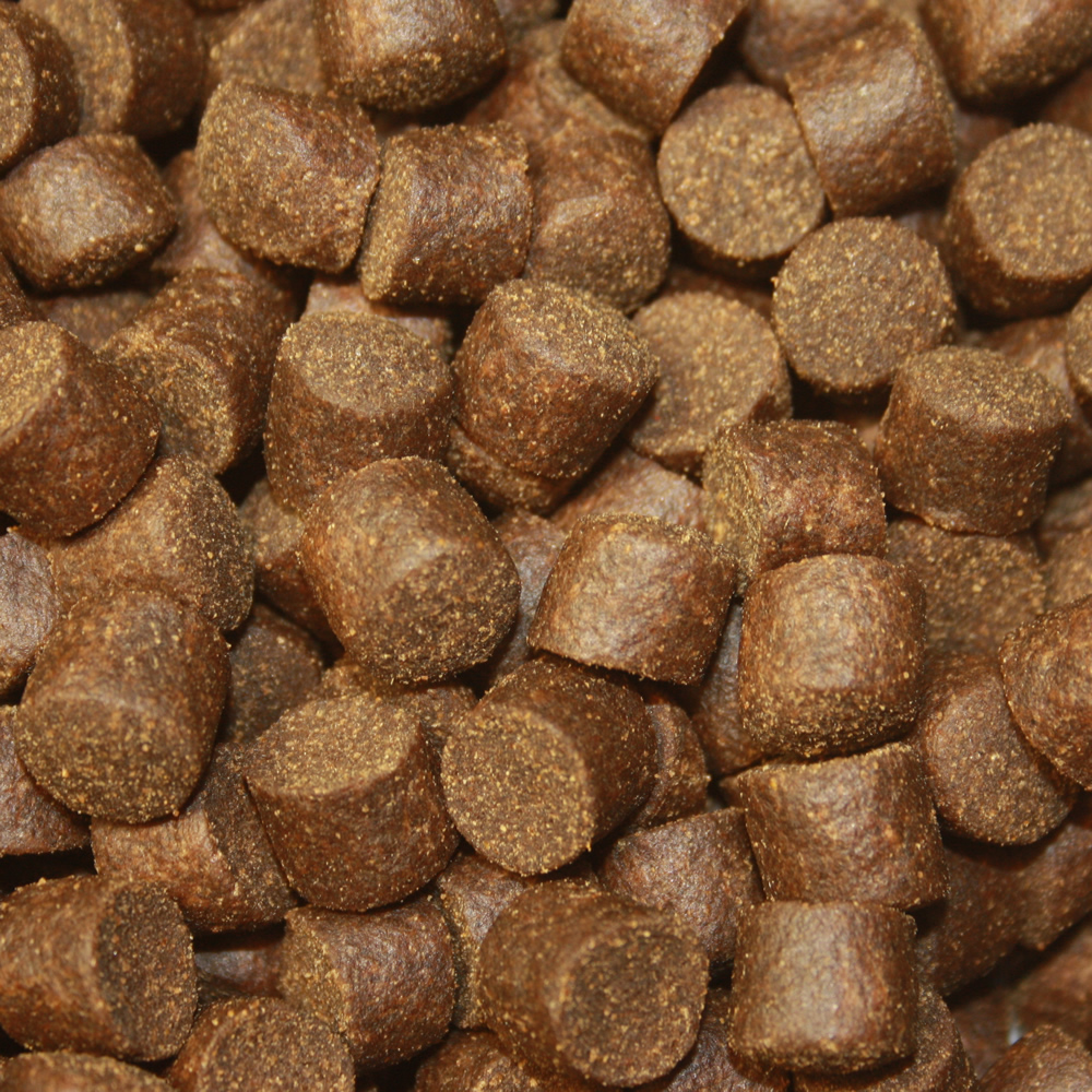 Störfutter hoch energiereich, Premium Störsinkfutter große Störe, Störfutter Top Qualität 10mm 15kg