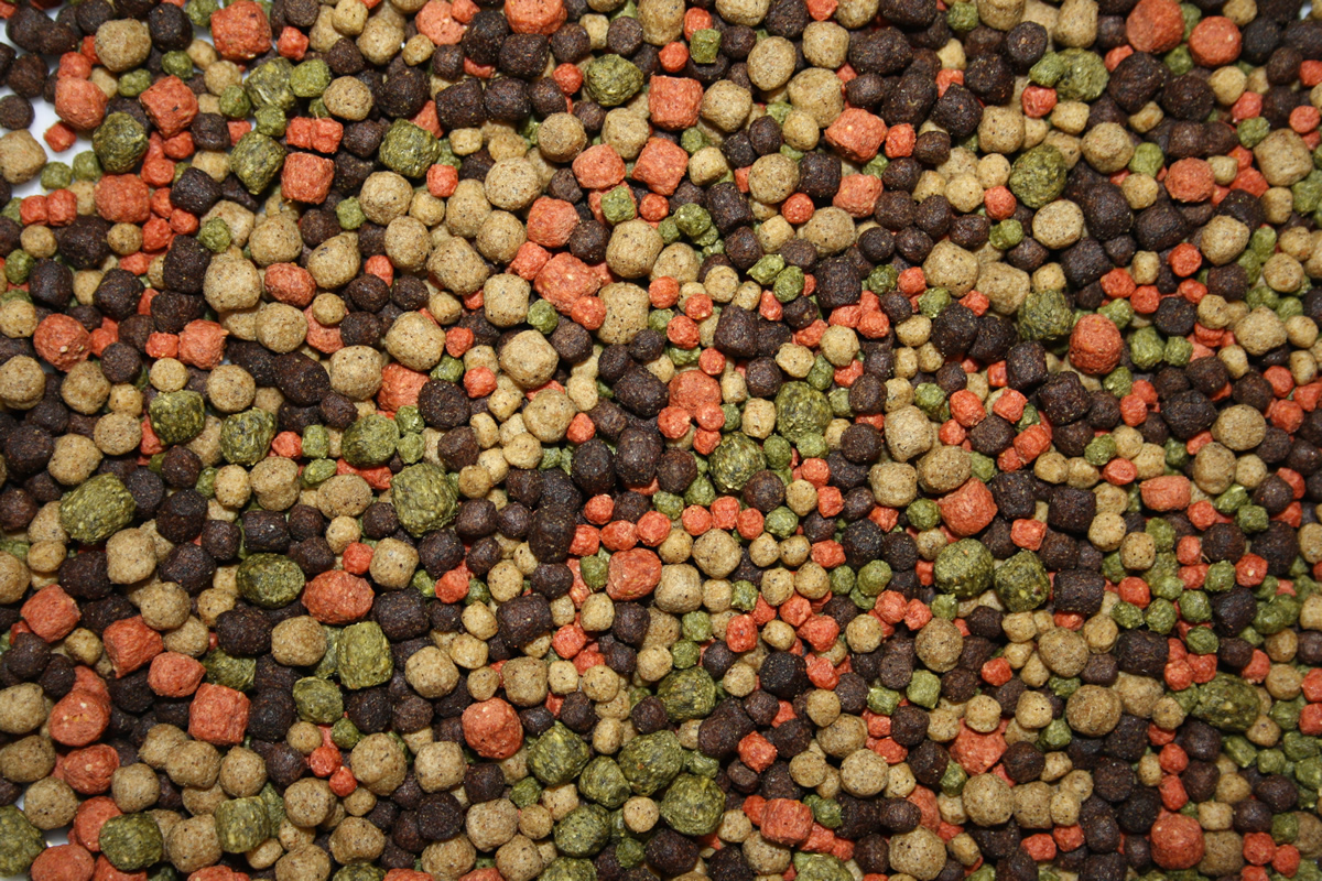 KoiMix, Teichmix, Koifuttermischung, 4color, rotgrünweißbraun, 3 + 5mm gemischt 2kg