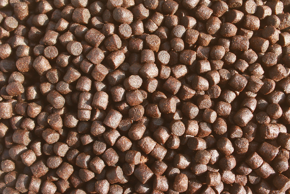 Betaglucan Koifutter, Tomodachi Koibalance, Schwimmfutter Immunschutz, Vitalfutter Koi  5mm 10kg