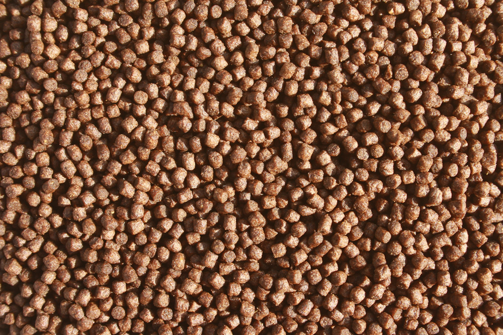 Koifutter Sommerfutter, Energiefutter, Spirulina Farbfutter, tolles Wachstum 3mm 15kg