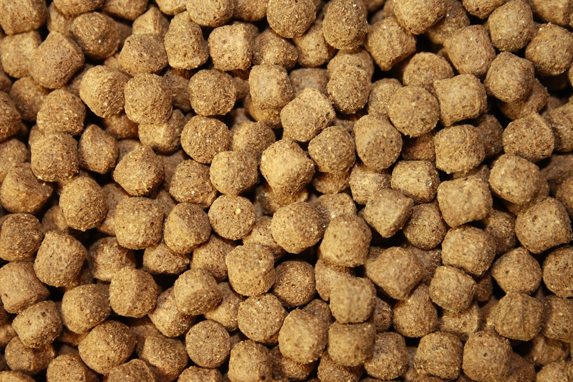 Antibakterielles Koifutter mit Monoglyceriden, Immunschutz,  Koigesundheit, AllSeason Vital 6mm 15kg