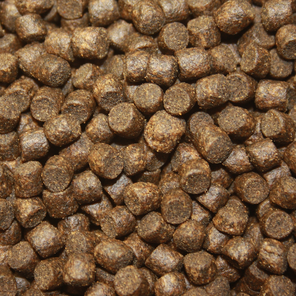 Betaglucan Koifutter für den Winter, Koigesundheit, Immunschutzfutter Koi,  Winterbalance 5mm 5kg