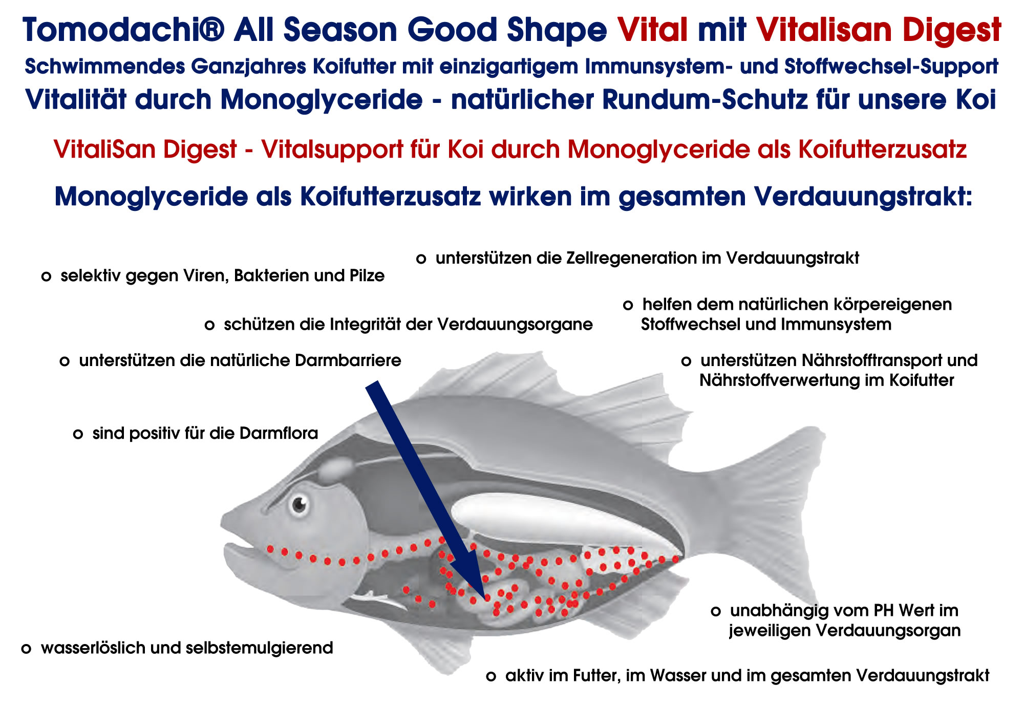 Koifutter mit Monoglyceriden, antibakterielles Koifutter, Koigesundheit, All Season Vital 3mm 15kg