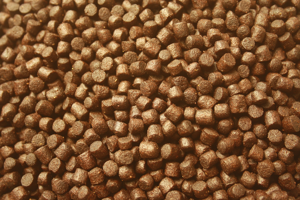 Winterfutter Koi, semi sinkend, Koifutter Spirulina +Astax, hochverdaulich, Winterfood Plus 10kg 6mm