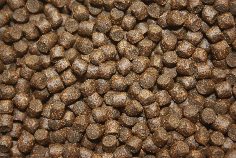 Gesundheitsfutter, Winterfutter Koi, Sinkfutter mit Monoglyceriden Vitalfutter 2kg