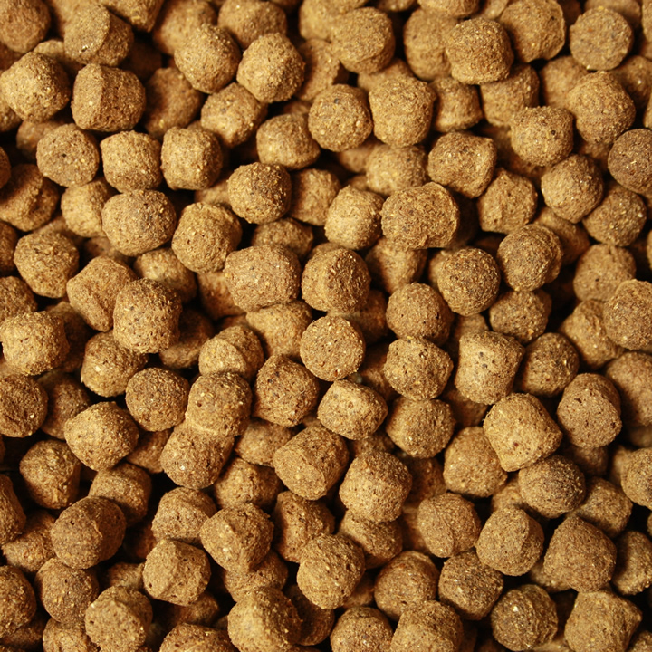 Antibakterielles Koifutter mit Monoglyceriden, Immunschutz,  Koigesundheit, AllSeason Vital 6mm 15kg