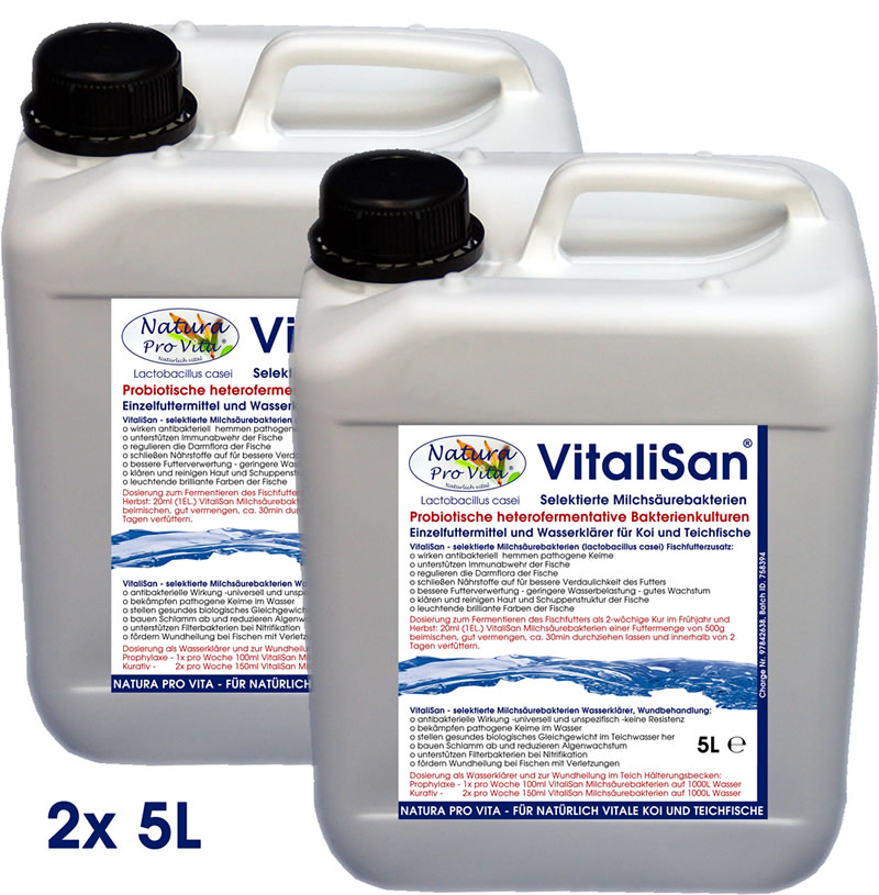 Milchsäurebakterien Koi Futterzusatz antibakteriell Futterverwertung hautklärend darmregulierend 10L