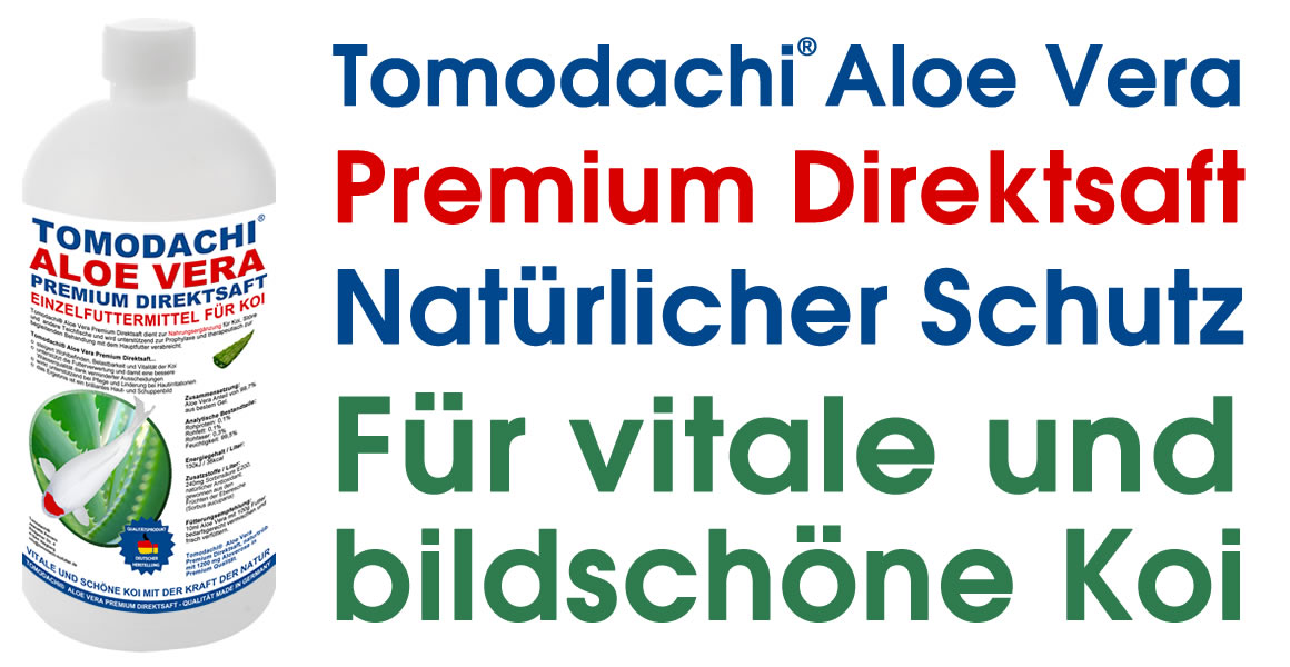 Aloe Vera Premium Direktsaft für Koi, Koifutterzusatz, Immunschutz, Stoffwechsel, Verdauung 5L