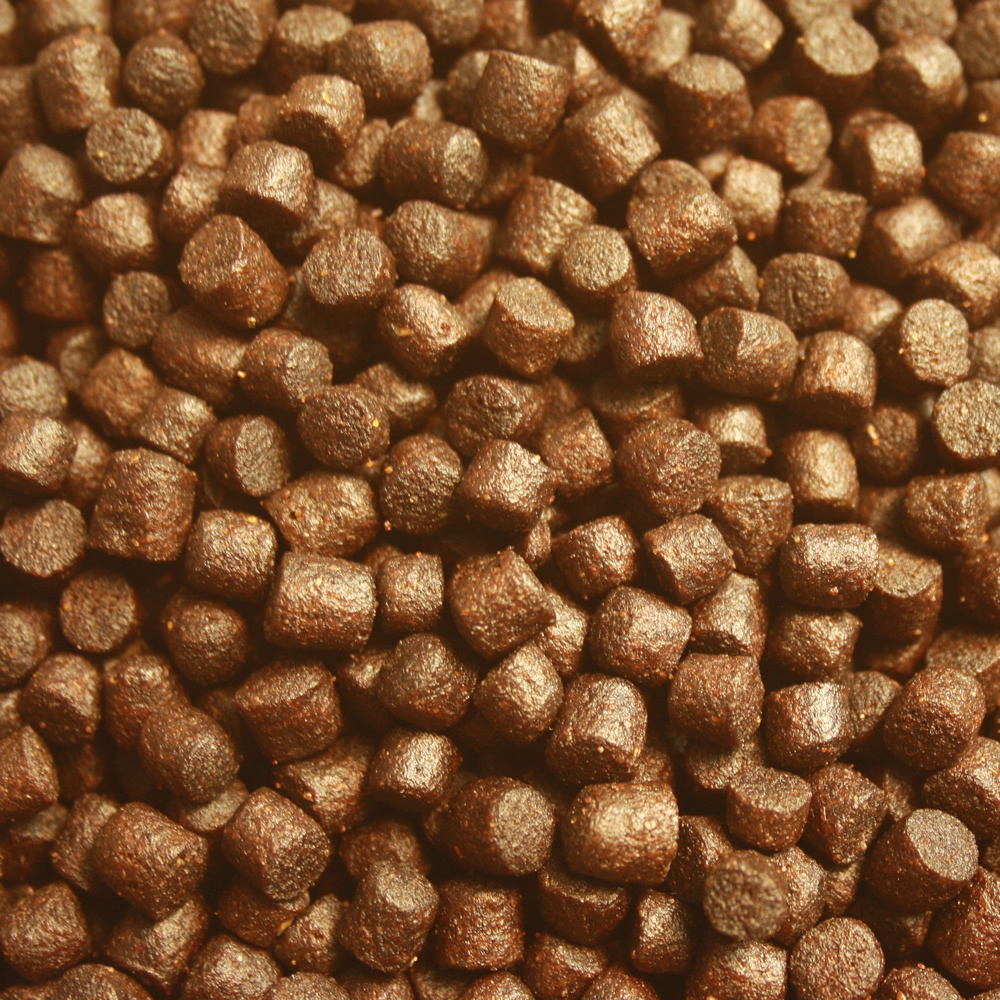 Winterfutter Koi, semi sinkend, Koifutter Spirulina +Astax, hochverdaulich, Winterfood Plus 10kg 6mm