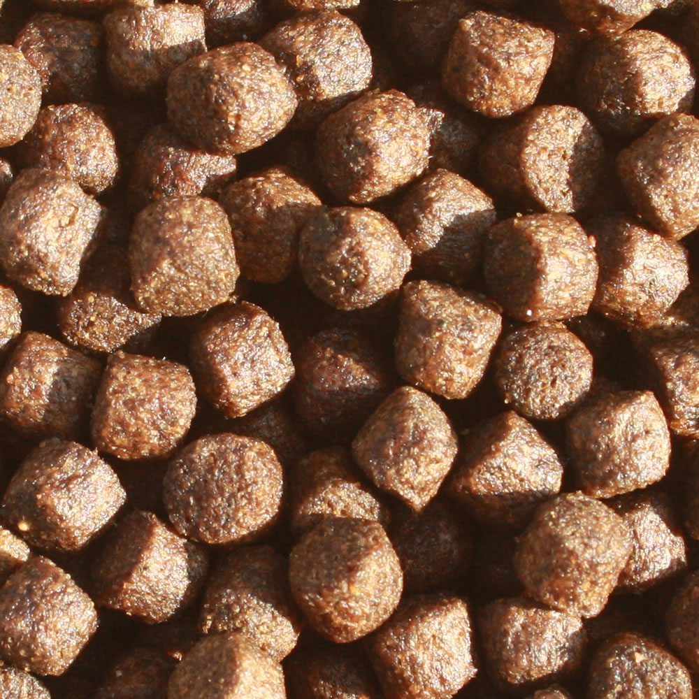 All Season Professional VITAL, Gesundheits Koifutter mit Monoglyceriden,  Immunschutzfutter 5mm 10kg